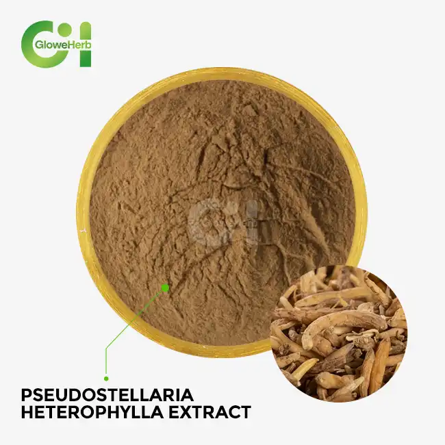 Pseudostellaria heterophylla extract